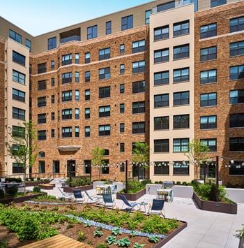 Landscaped courtyard with grills and lounge areas